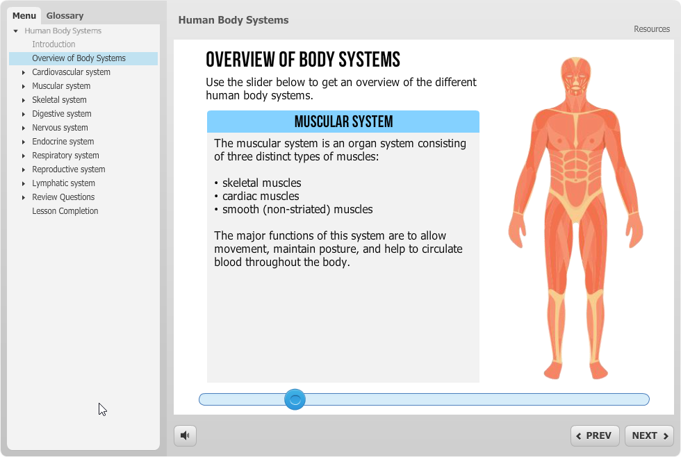 Human Body Systems Course Sample